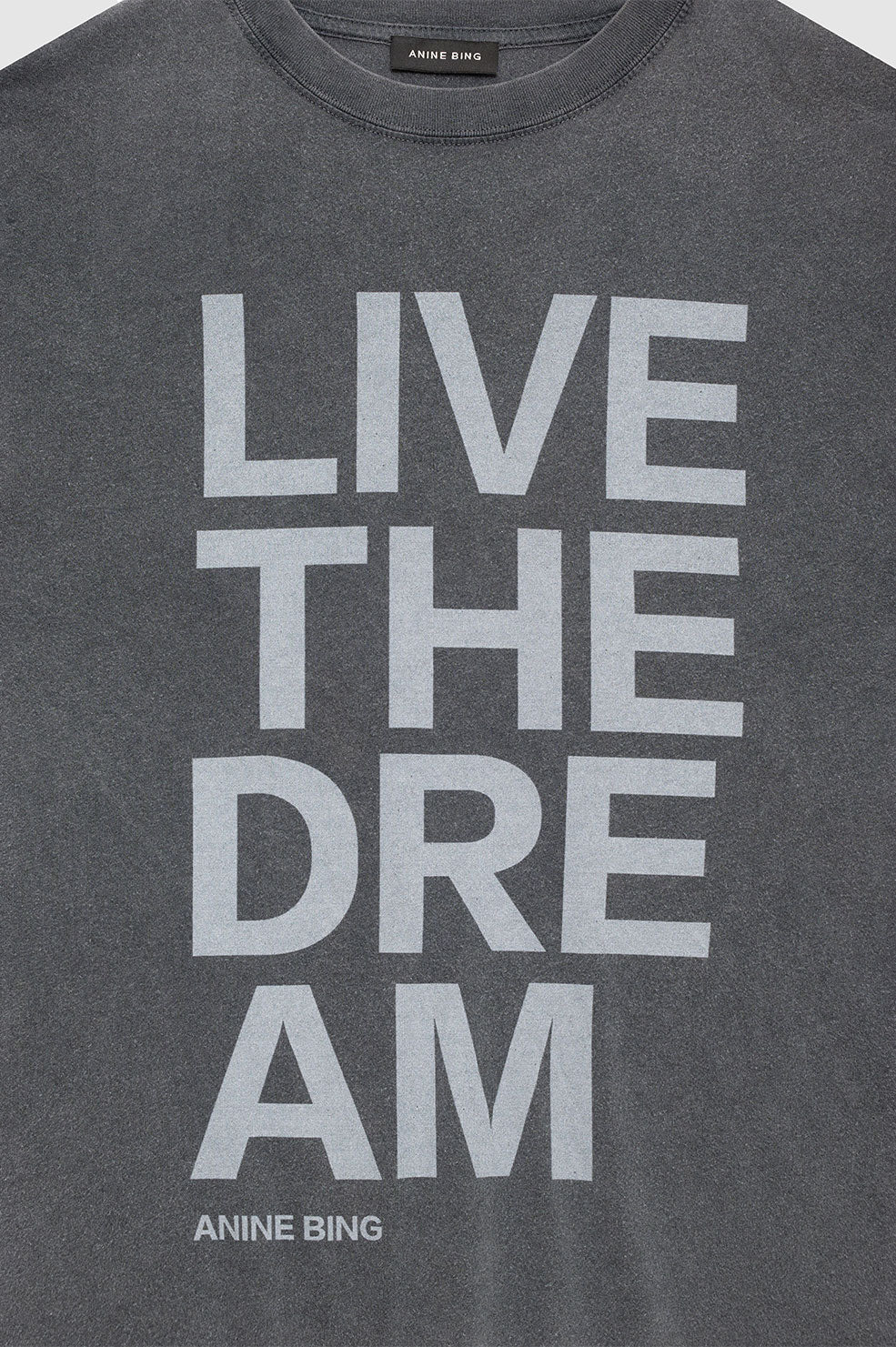 CASON TEE LIVE THE DREAM - WASHED BLACK - ANINE BING