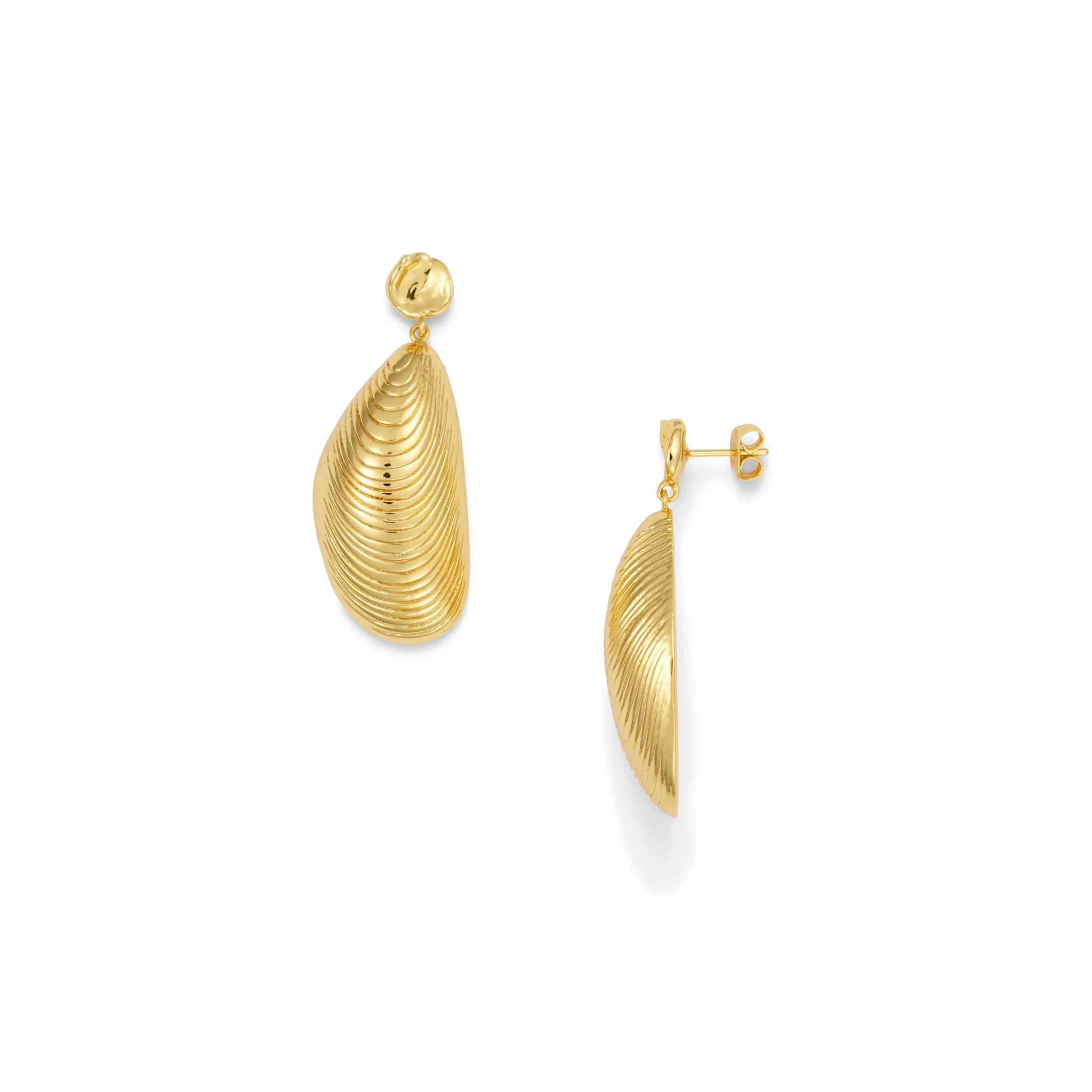 MOULES EARRING - GOLD - ANNI LU