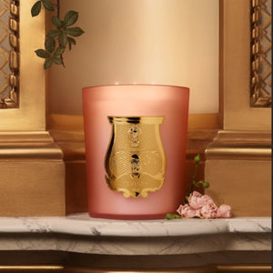 TUILERIES GREAT CANDLE - 3 KG - TRUDON