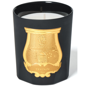 MARY CANDLE - 270 G - CIRE TRUDON