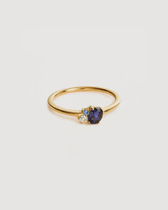 KINDRED RING  SAPPHIRE - 18K GOLD VERMEIL - BY CHARLOTTE